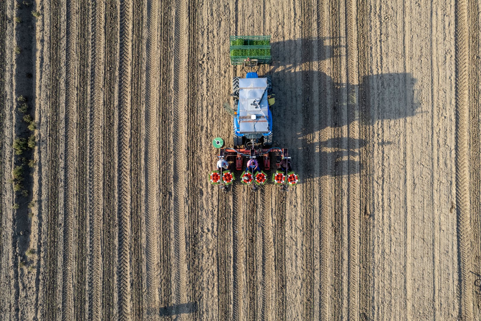 Aerial view of a tractor plowing a field with workers planting crops, showing the symmetry of the furrows and the machinery.
