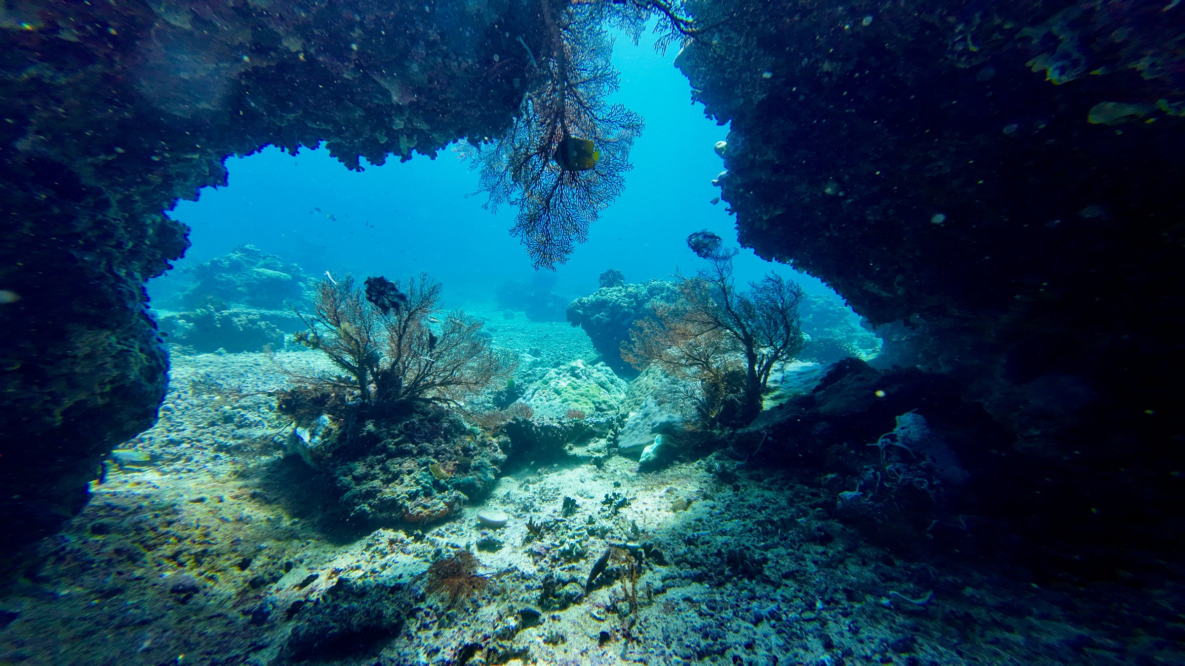 View from the underwater grotto of picturesque corals and clear transparent water. Coral reef underwater.