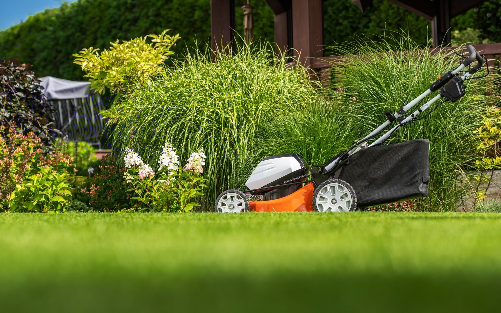 Modern Cordless Battery Powered Grass Mower in the Colourful Mature Garden