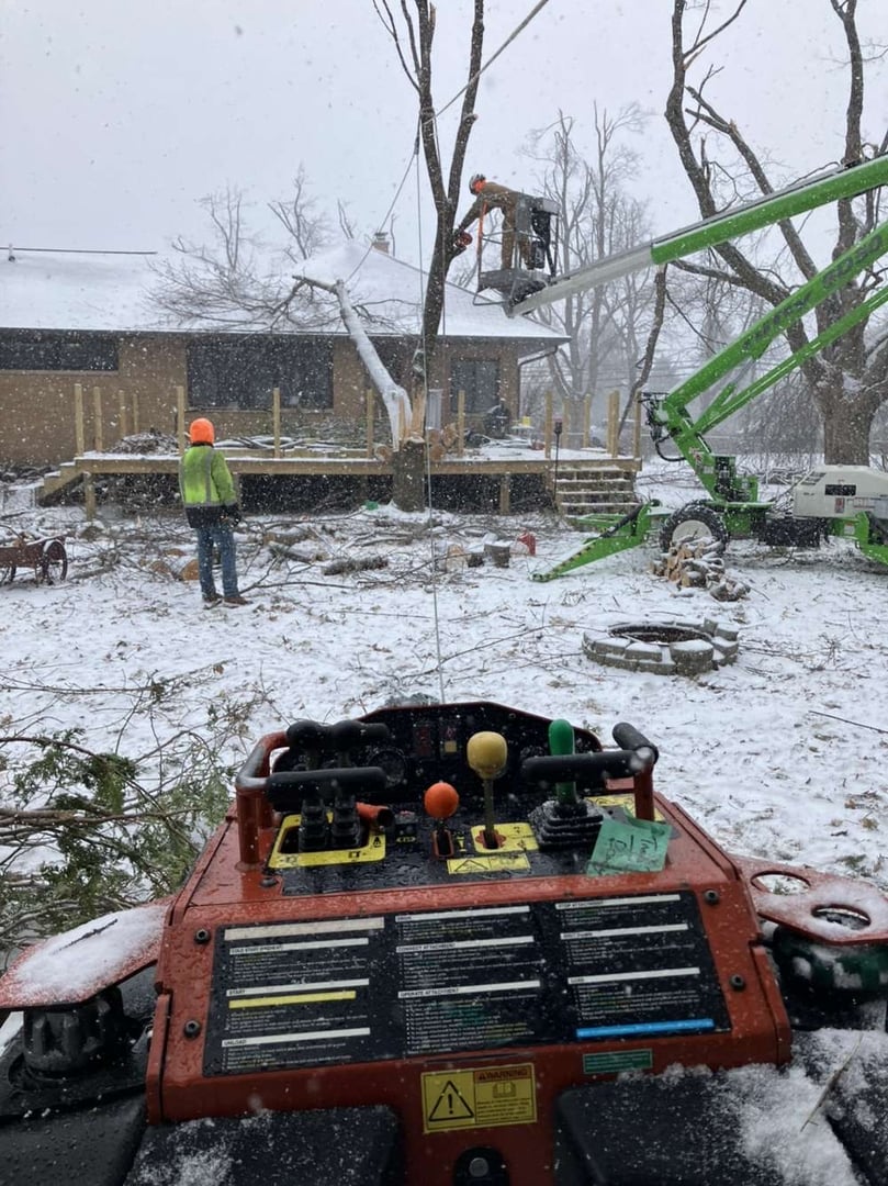 Emergency tree service