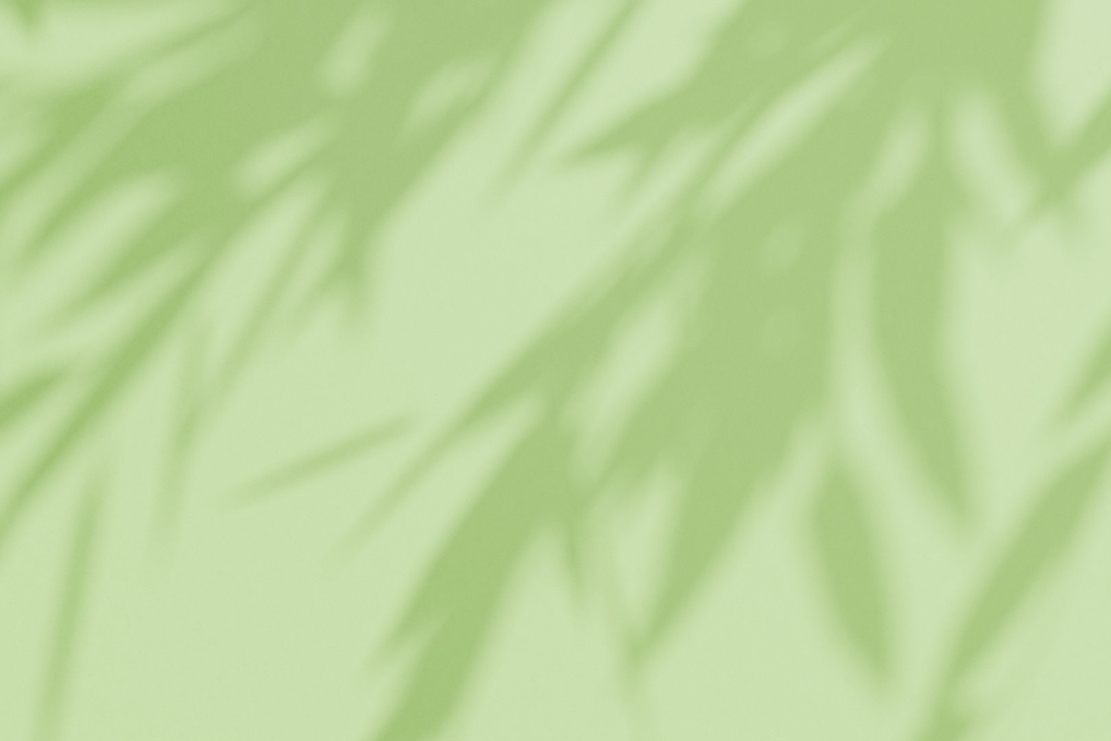 Soft green background with abstract shadows of tropical leaves. Minimal natural backdrop perfect for eco, wellness, skincare, or botanical themes. Light and serene nature-inspired design.