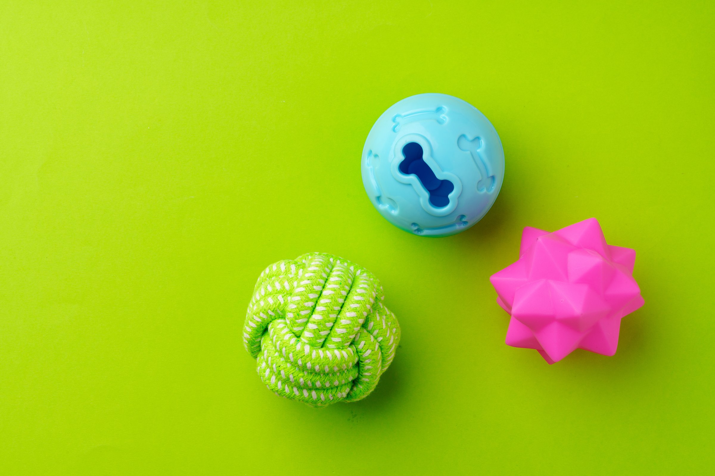 Colorful pet toys balls on green background close up