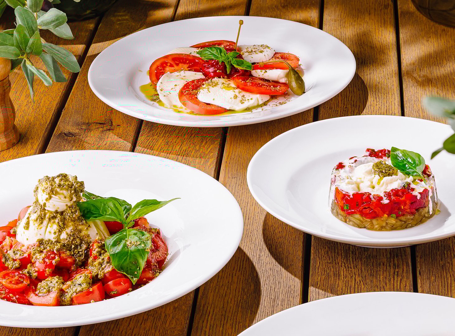 Variety of tomato and cheese dishes artfully presented on white plates, with rustic wood table backdrop