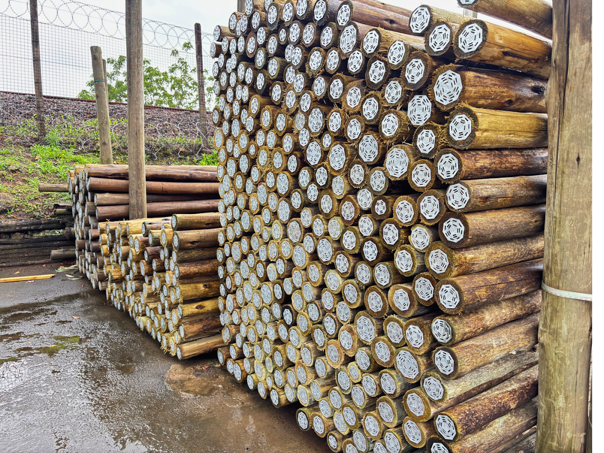 Vimar Timbers CCA treated poles - premium quality timber poles for construction
