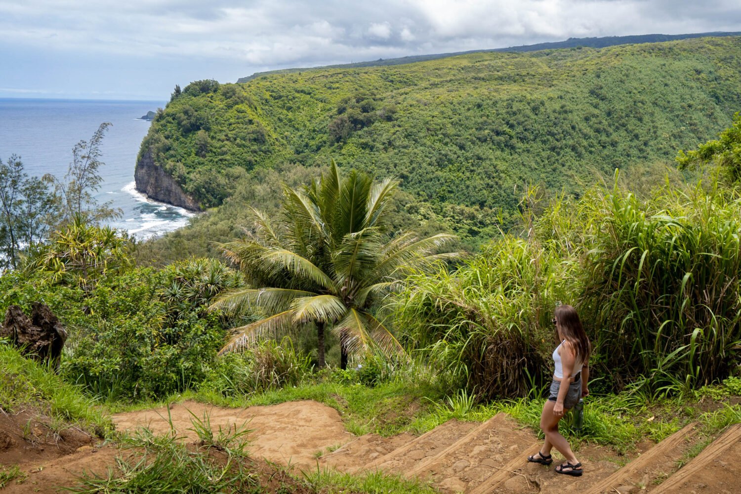 Pololu Valley black sand beach on the Big Island of Hawaii