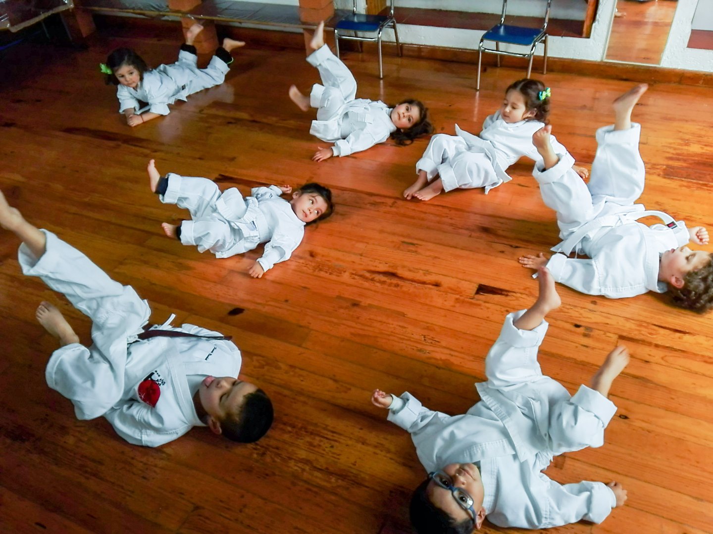 Dojo Image 9