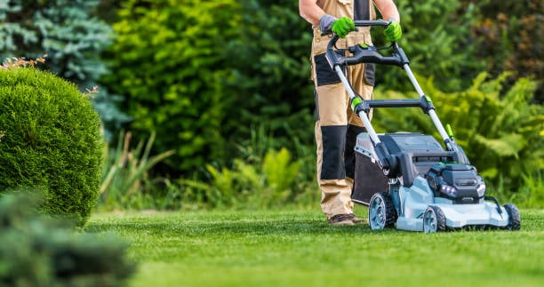 Professional lawn mowing service with quality equipment