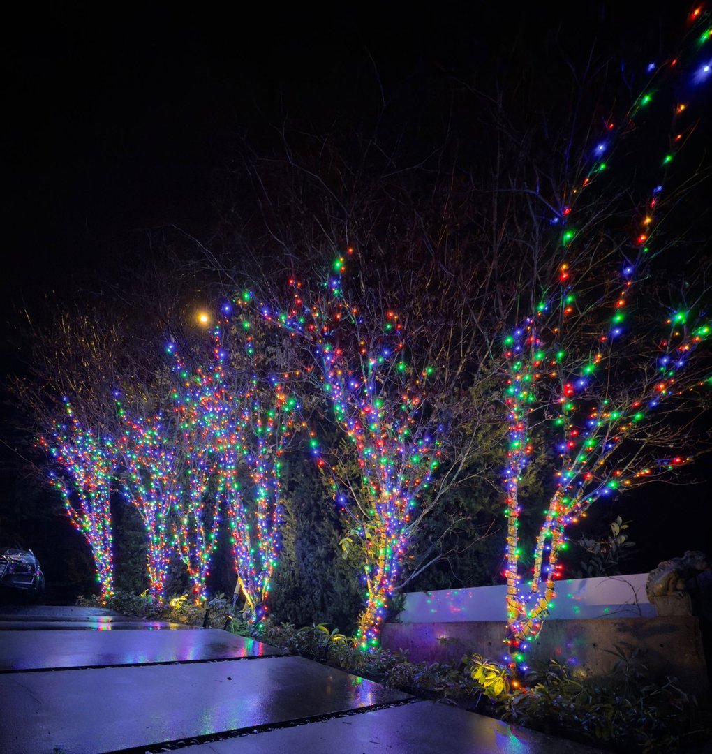 Christmas tree light installation