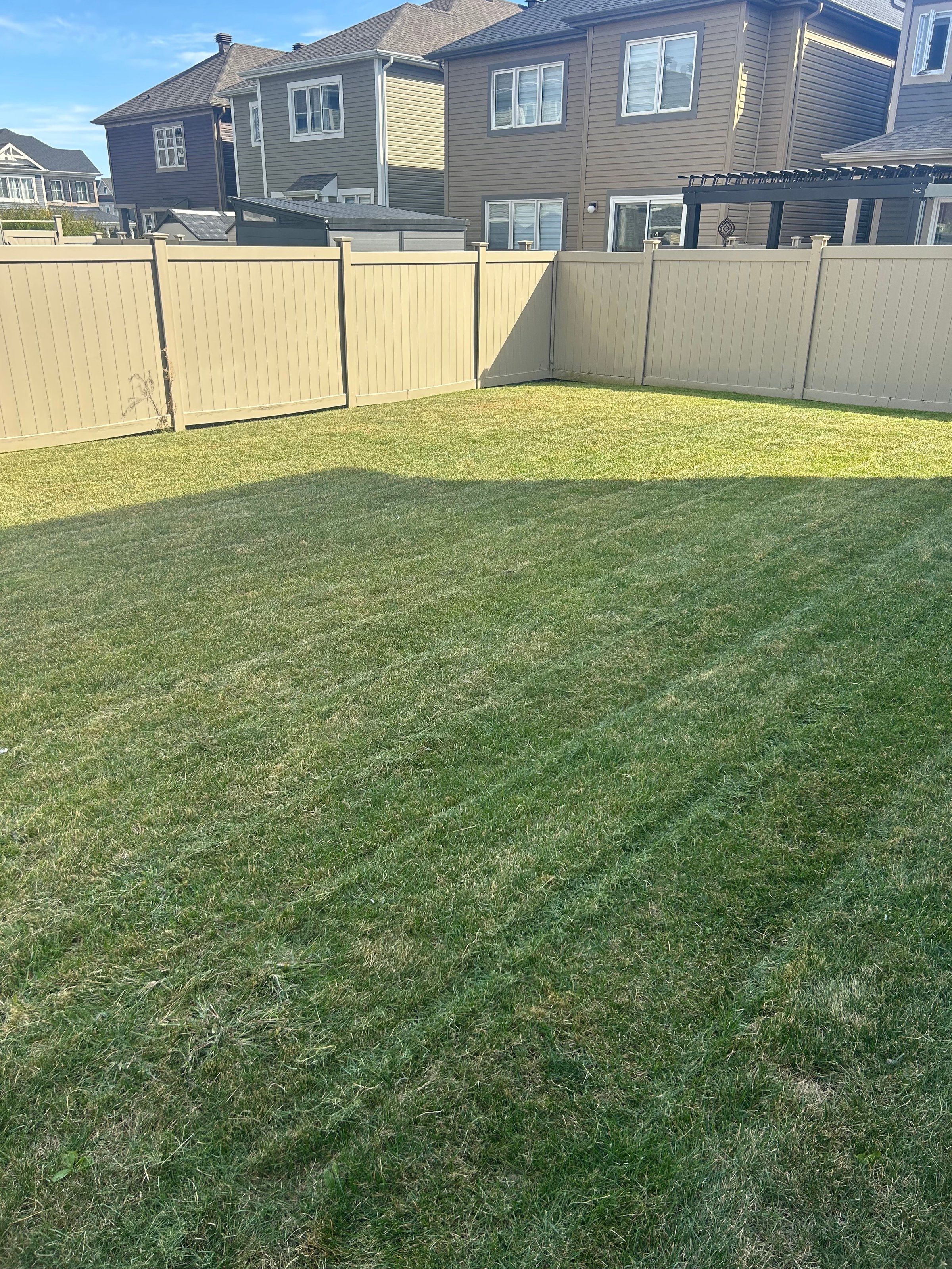 Capital City Grass lawn transformation
