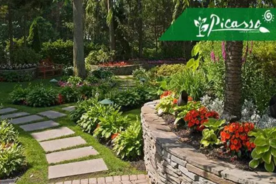 Picasso Lawn transformation project