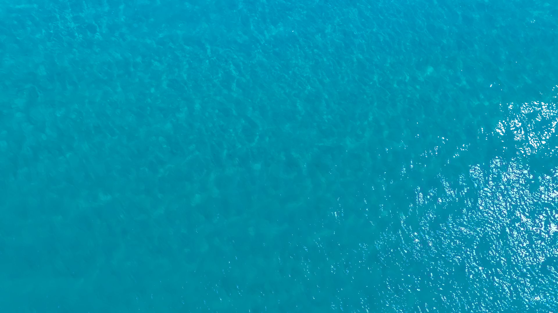 Summer Tropical beach water with crystal clear water on beach background