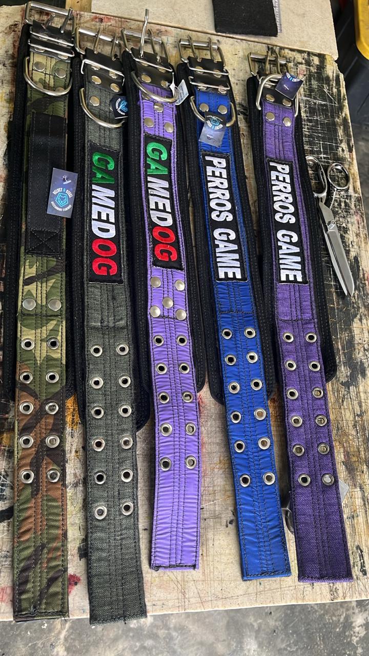Colorful dog collars with metal eyelets and tags displayed on a wooden surface.