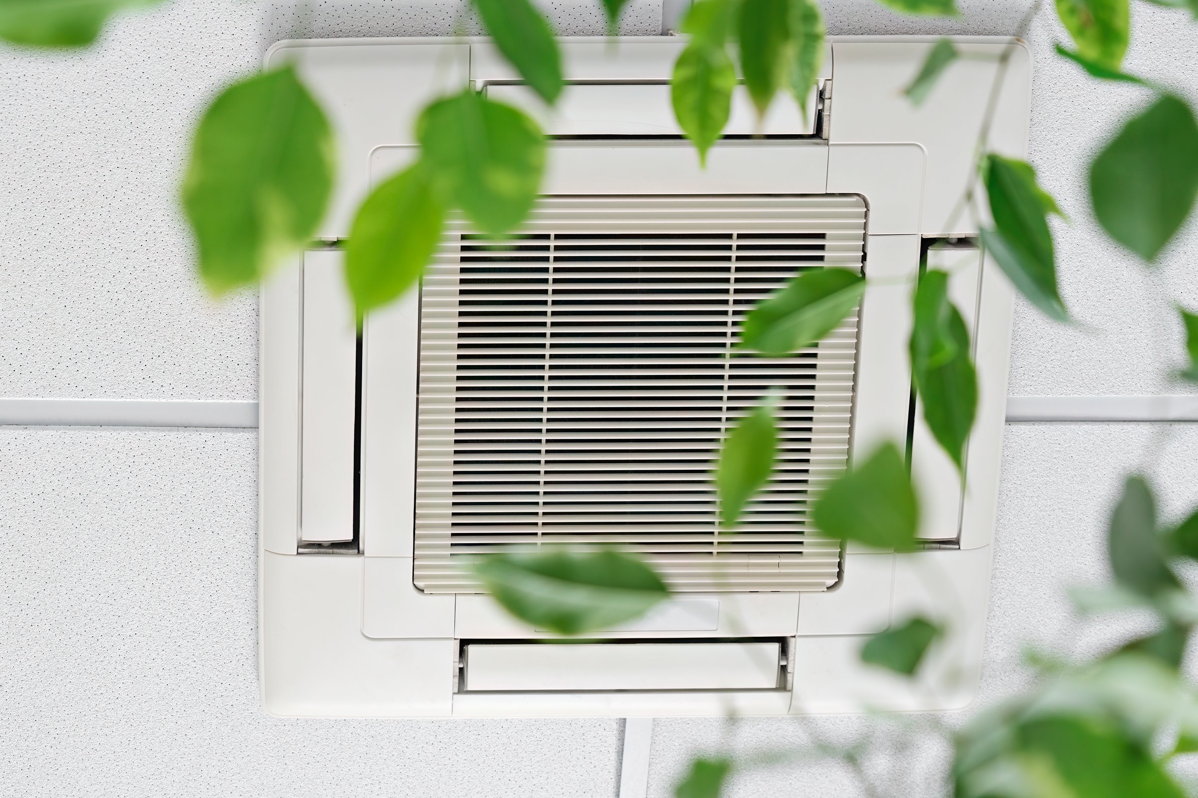 Cassette Air Conditioner on ceiling in modern light office or apartment with green ficus plant leaves. Indoor air quality and clean filters concept