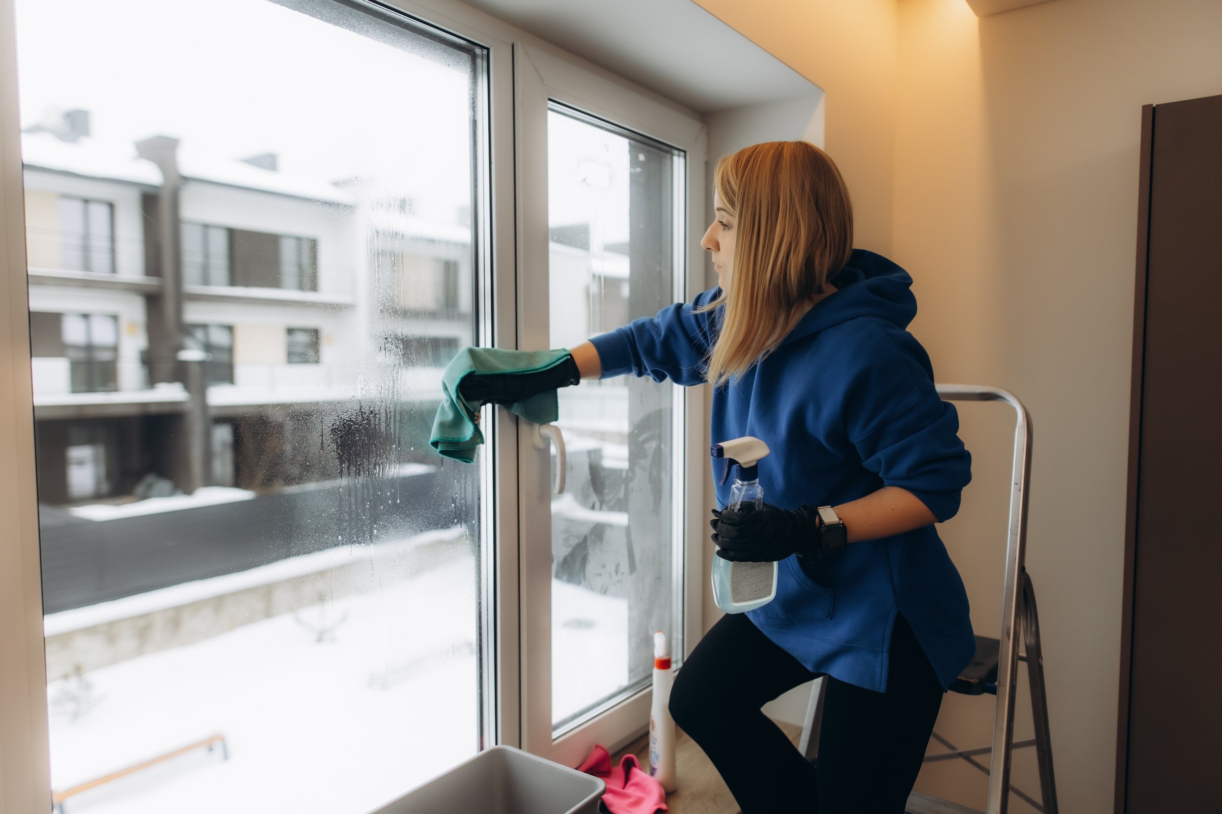 Window Cleaning Service