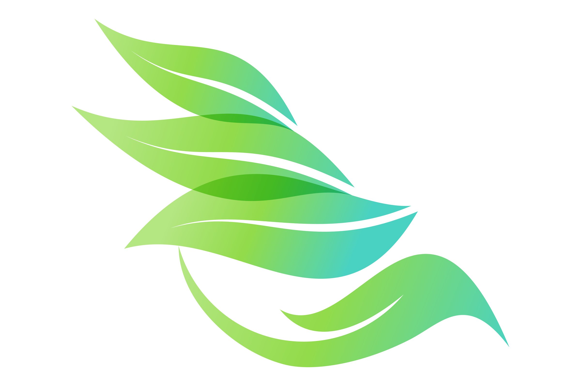 Aquascape Oasis - Premium Dutch Aquascaping and Freshwater Aquarium Design Services