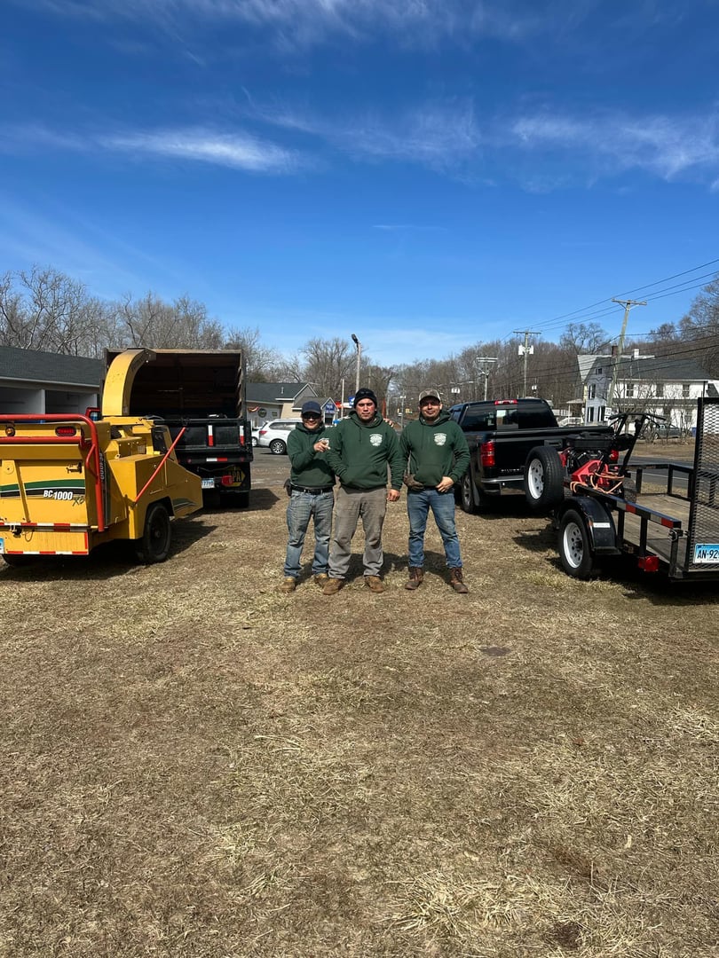 GRS Tree Service work