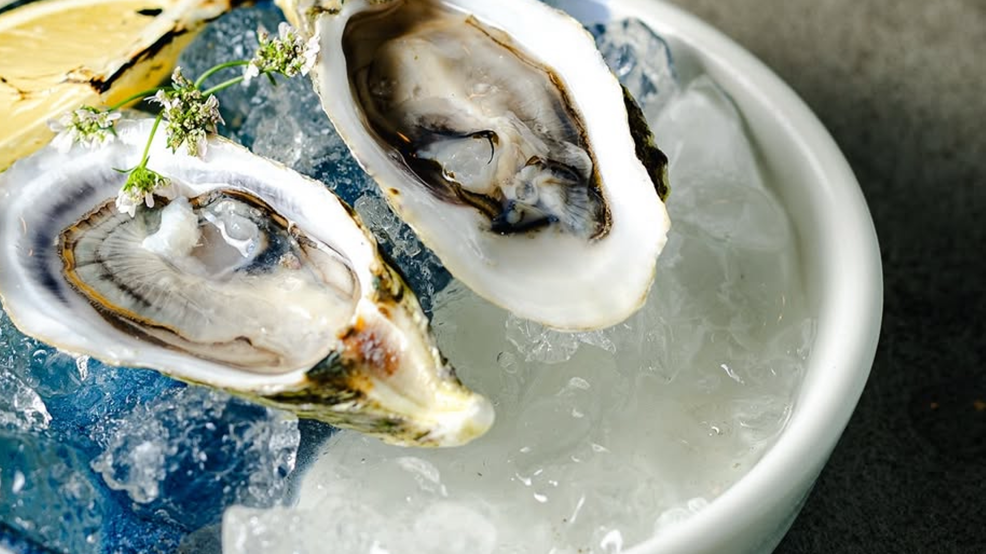 Platos complementarios de cerámica Naidich