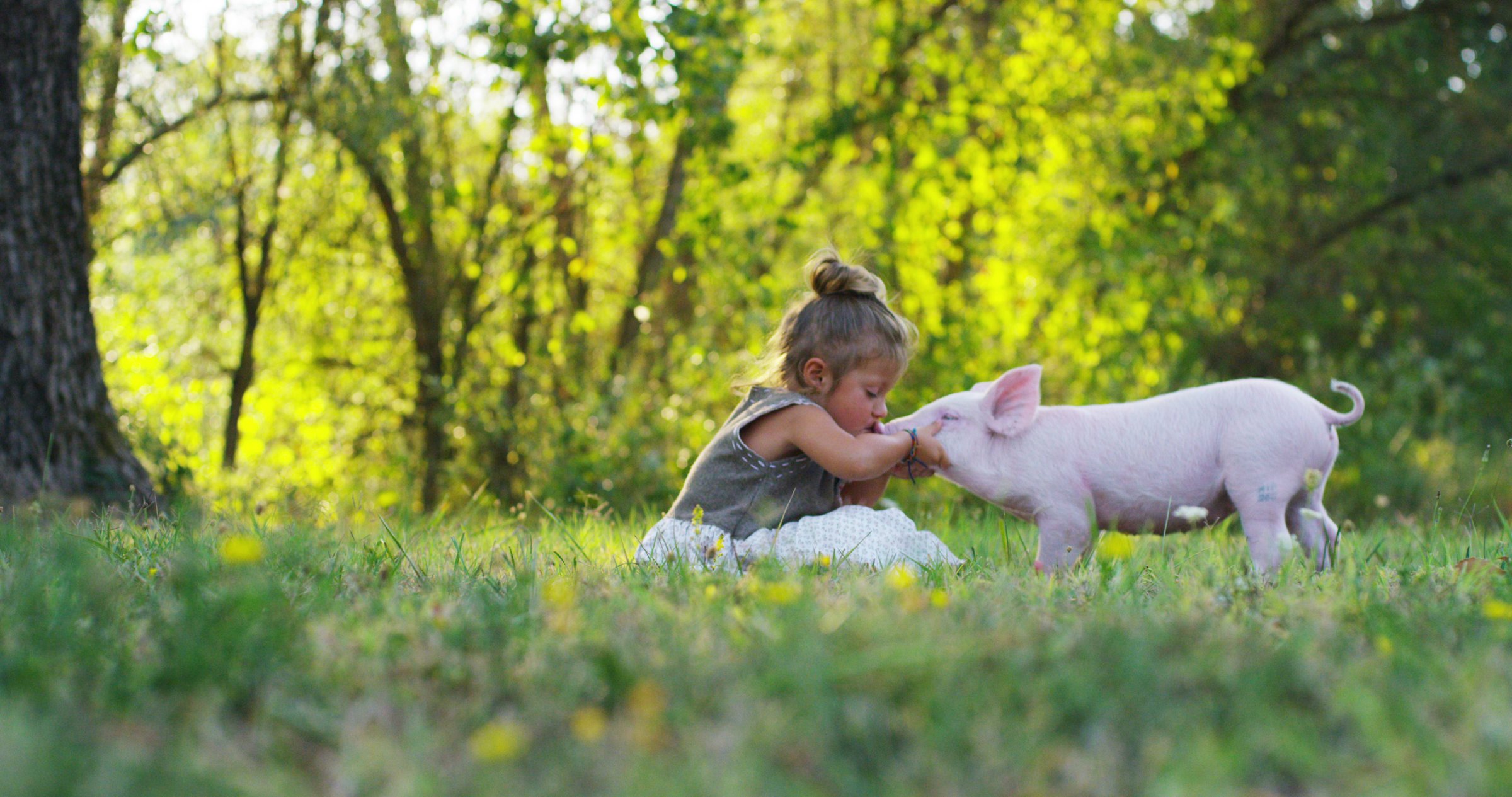 Girl kissing piglet