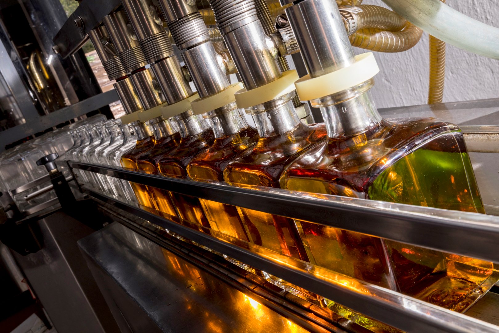 Bottle filling line in tequila factory