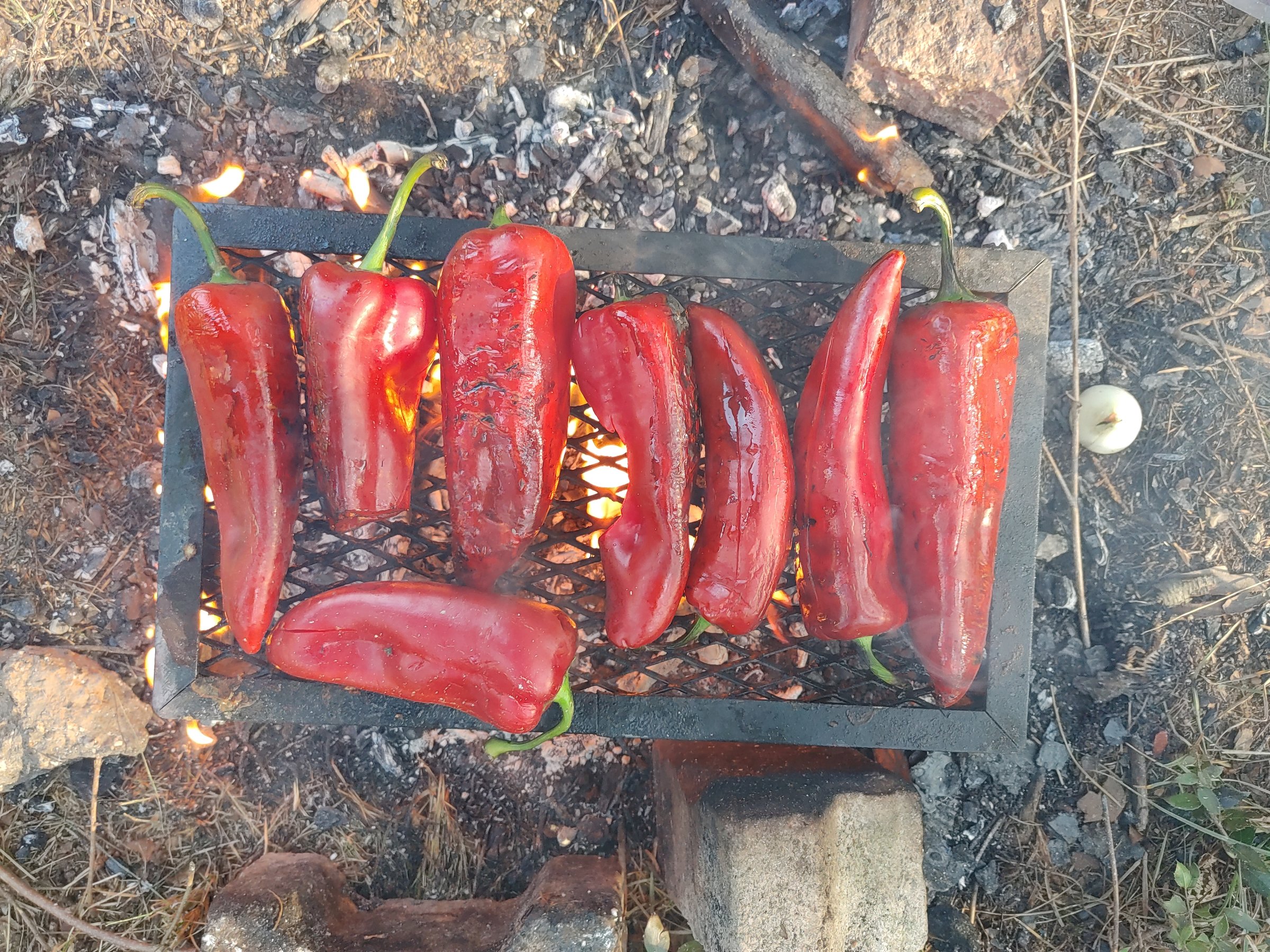 close-up of grilled red peppers on barbecue fire