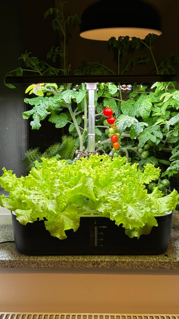 Hydrowave hydroponics system