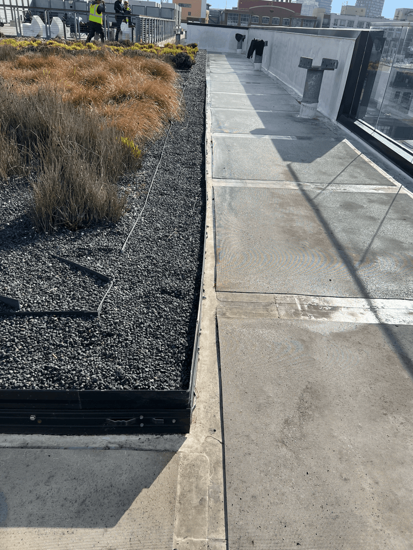 345 Brannan Rooftop Terrace project image 1