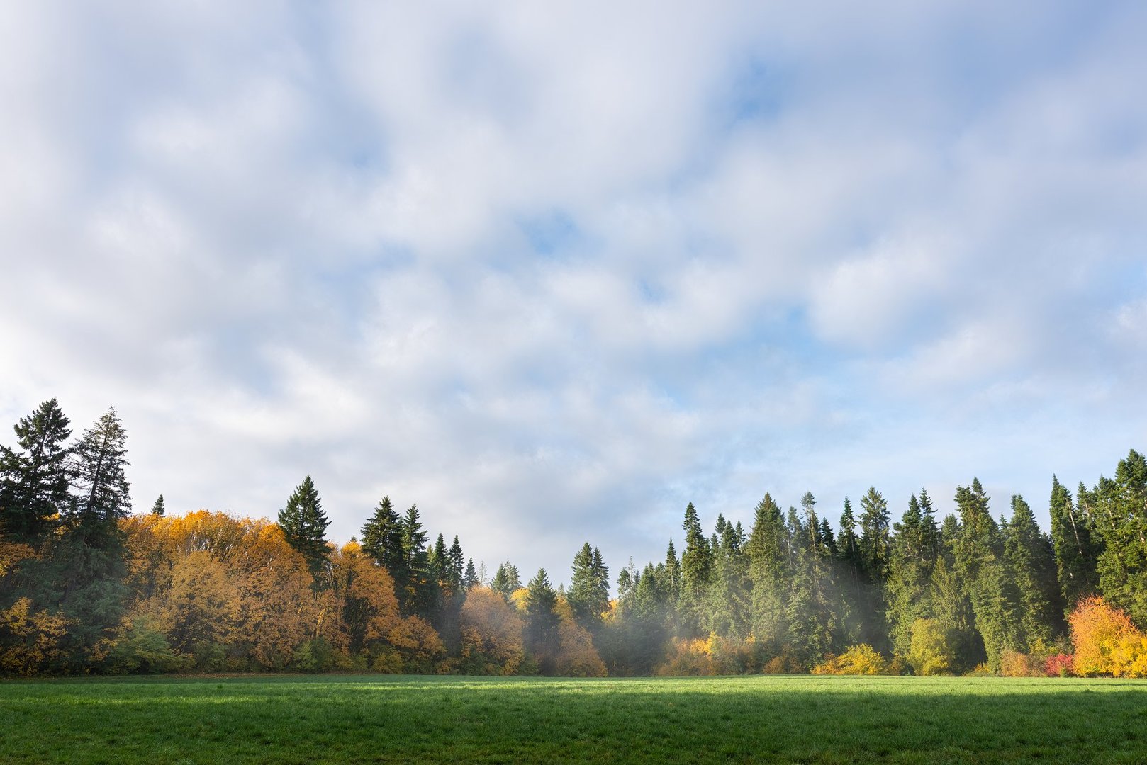 Sky over field and foggy autumn forest