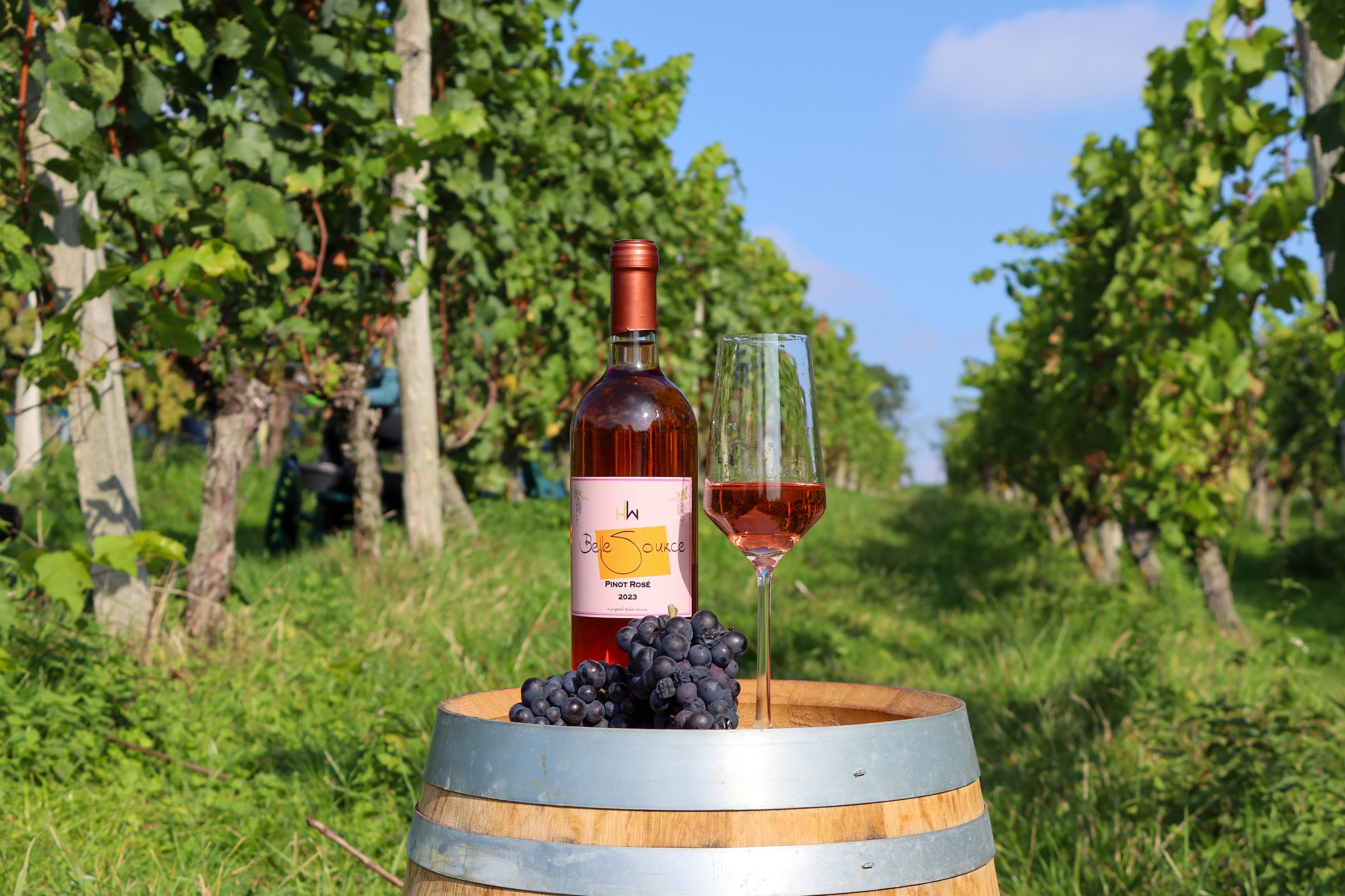 Belle Source Rosé wine bottle