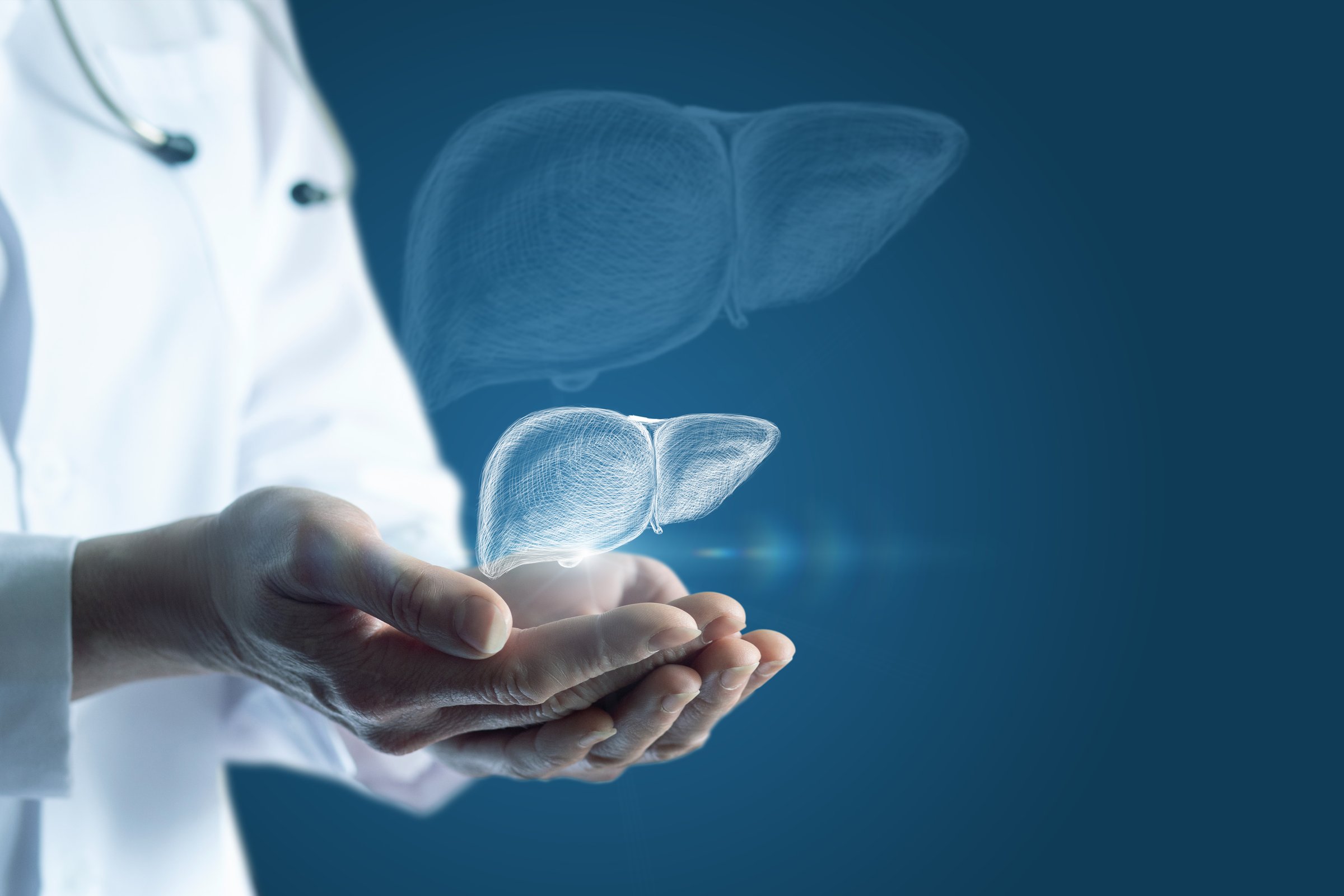 The doctor shows a liver on a blue background.