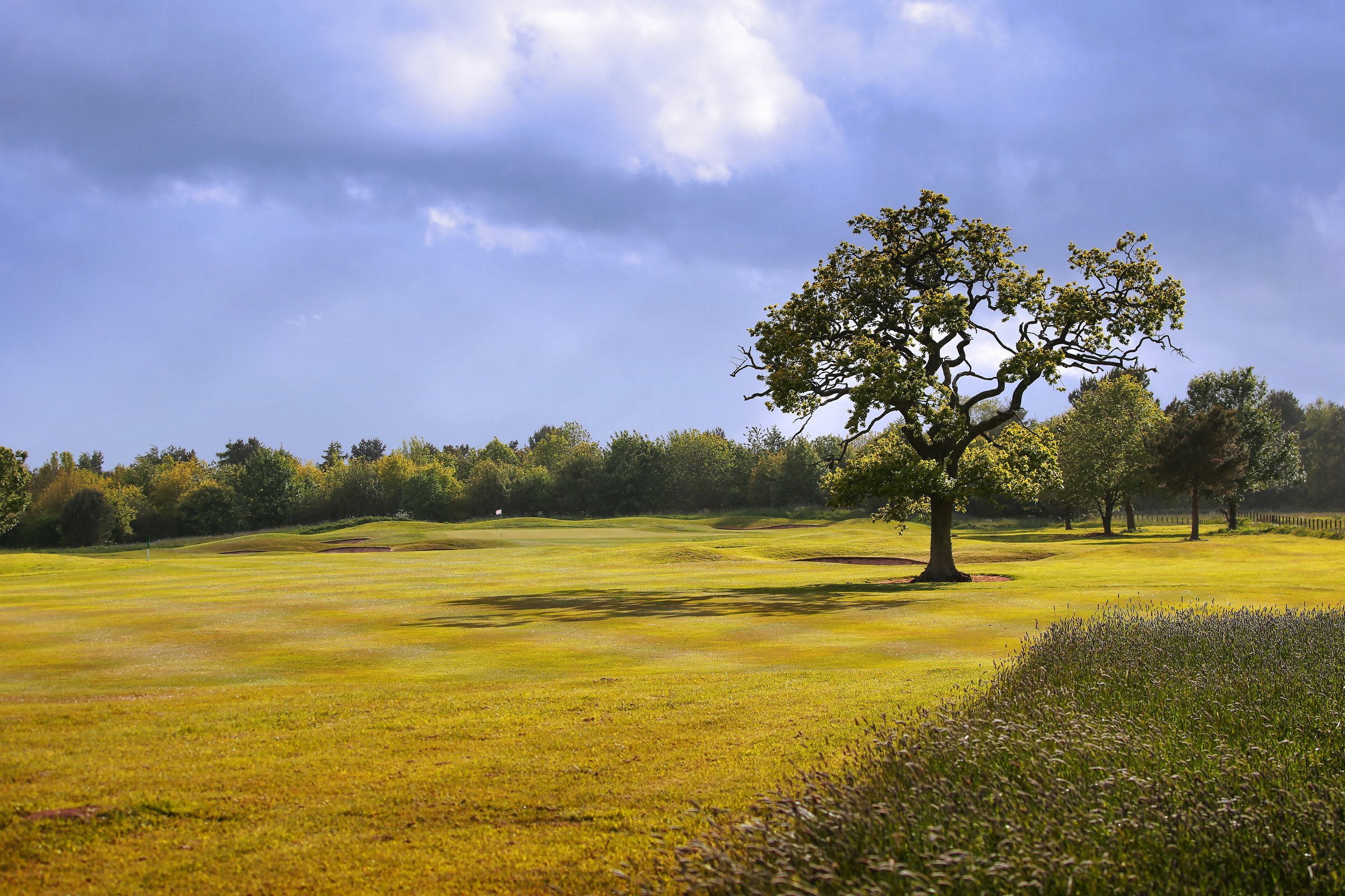 3rd hole at Macdonald Linden Hall championship golf course