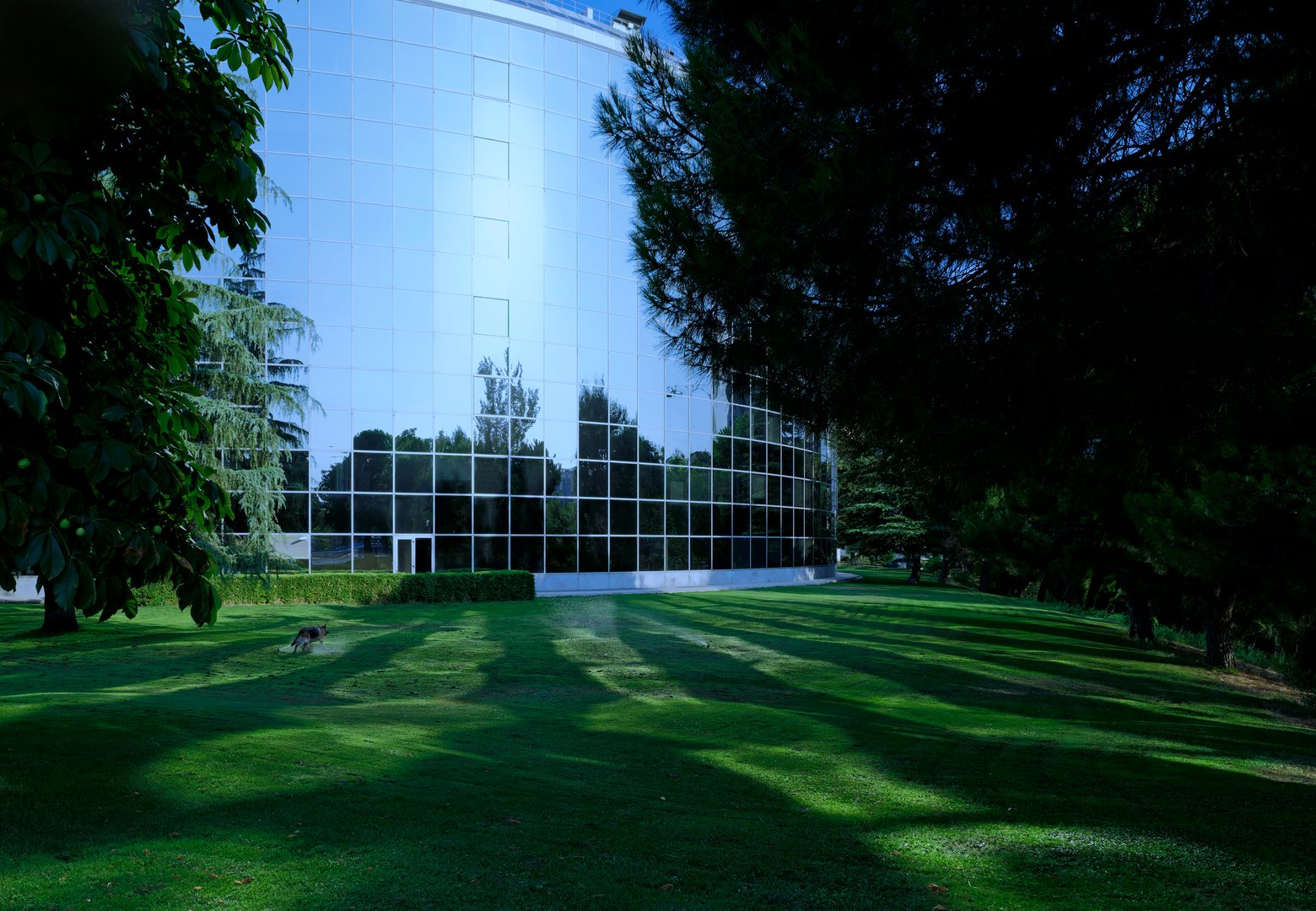 Lush green lawn with active sprinklers in front of a modern glass office building, creating a refreshing and professional atmosphere