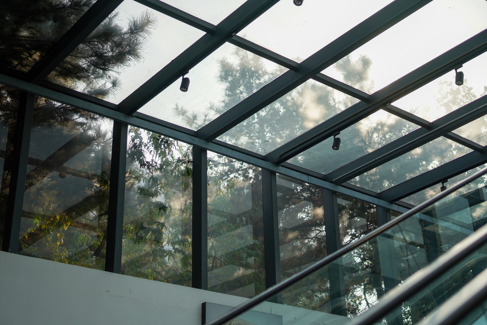 A modern glass roof structure allowing tree reflections, showcasing clean lines and transparent design.