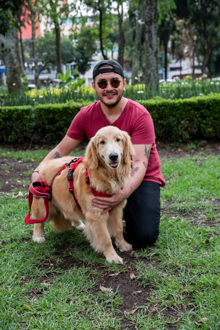 Pets Imaginarium-33_baja