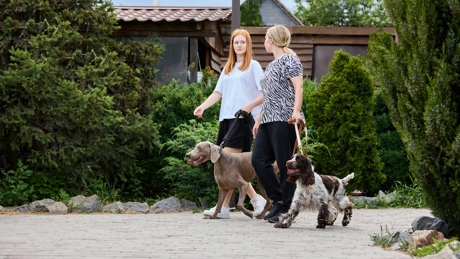 Women strolling with their dogs through a vibrant garden