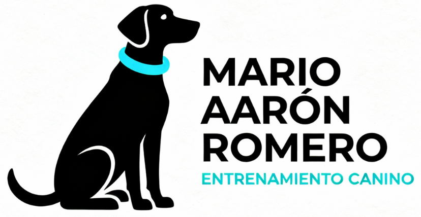 Mario Aaron Romero Logo