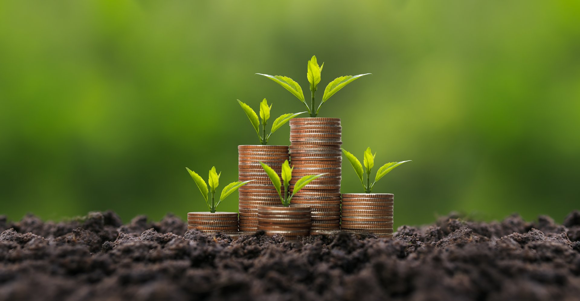 Plant growing on pile of coins - concept of financial growth