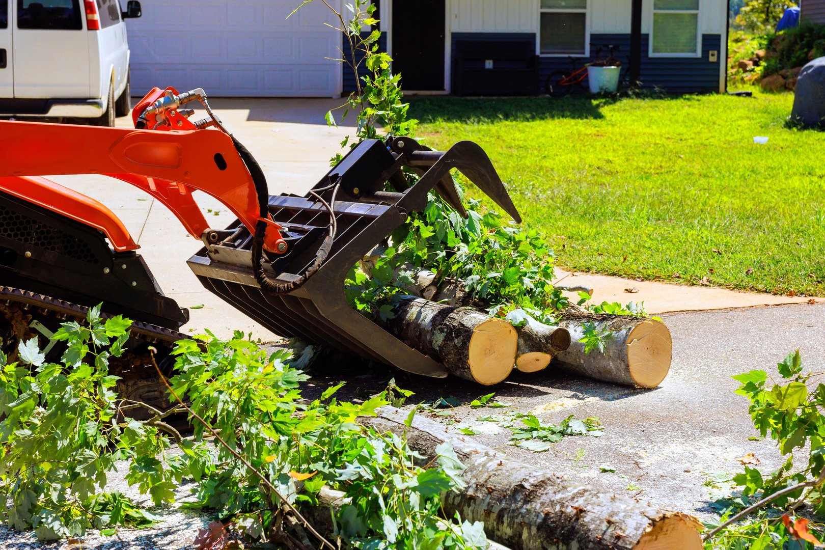 Skid steer machinery removes fallen tree logs from driveway in suburban area
