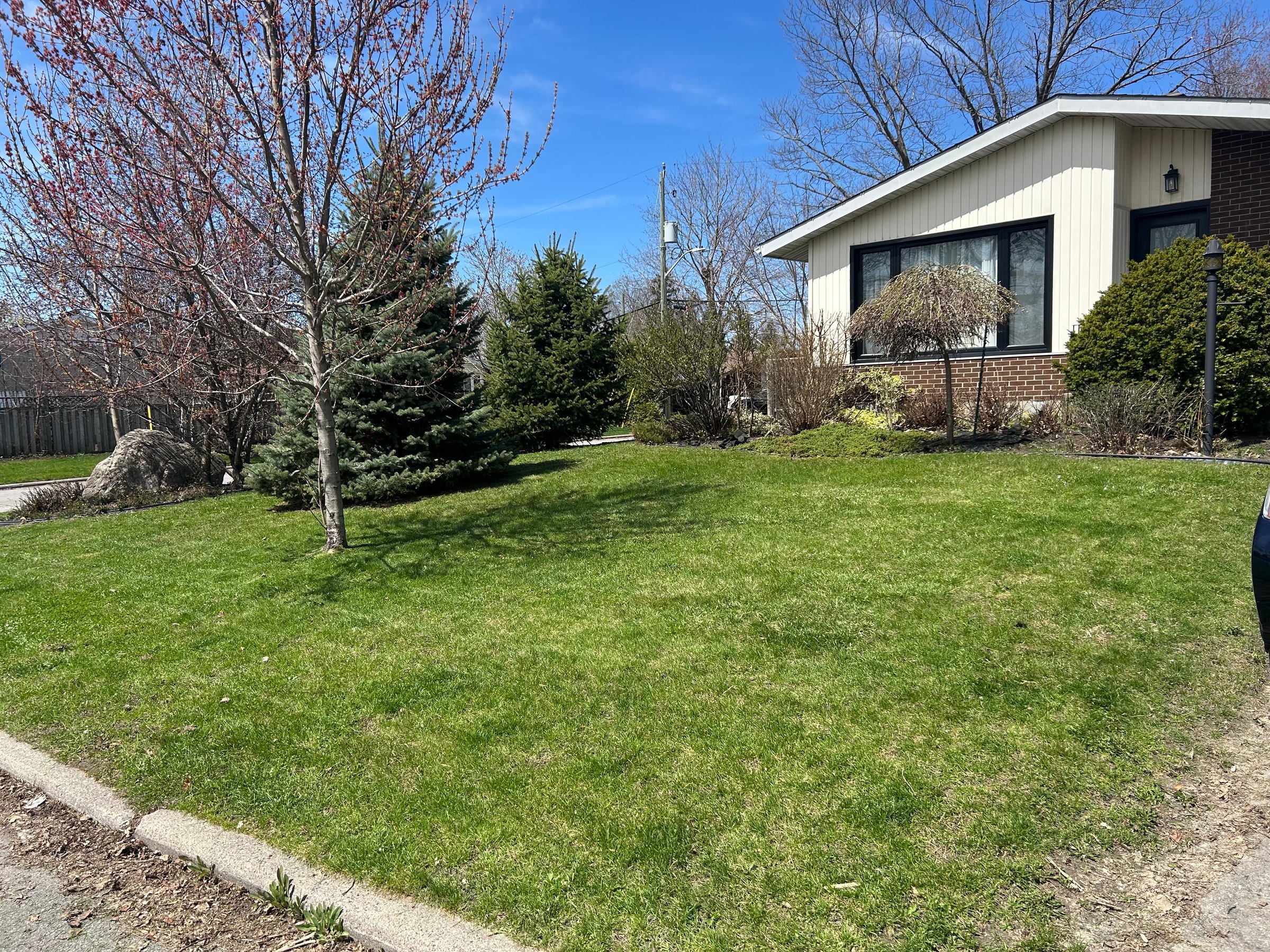Capital City Grass lawn maintenance
