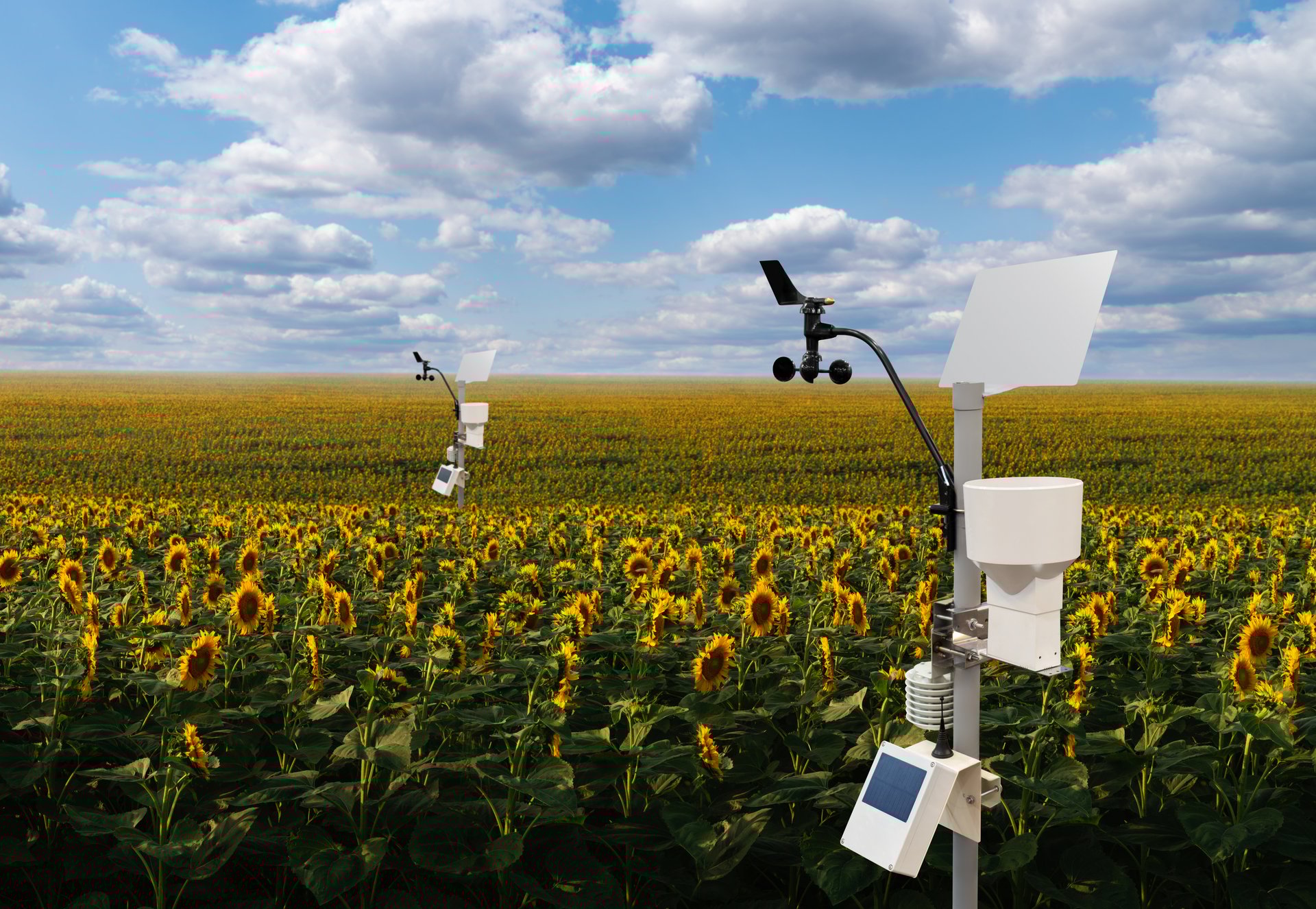 Weather station with environmental sensors in a crop field collecting atmospheric data