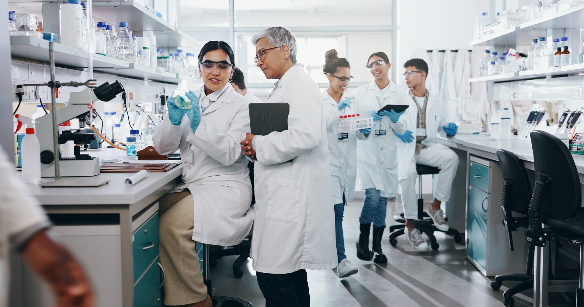 Petri dish, people or scientist learning in lab for breakthrough, cure or medical development. Training, internship and research with mentor or science team in clinical trial for medicine particles