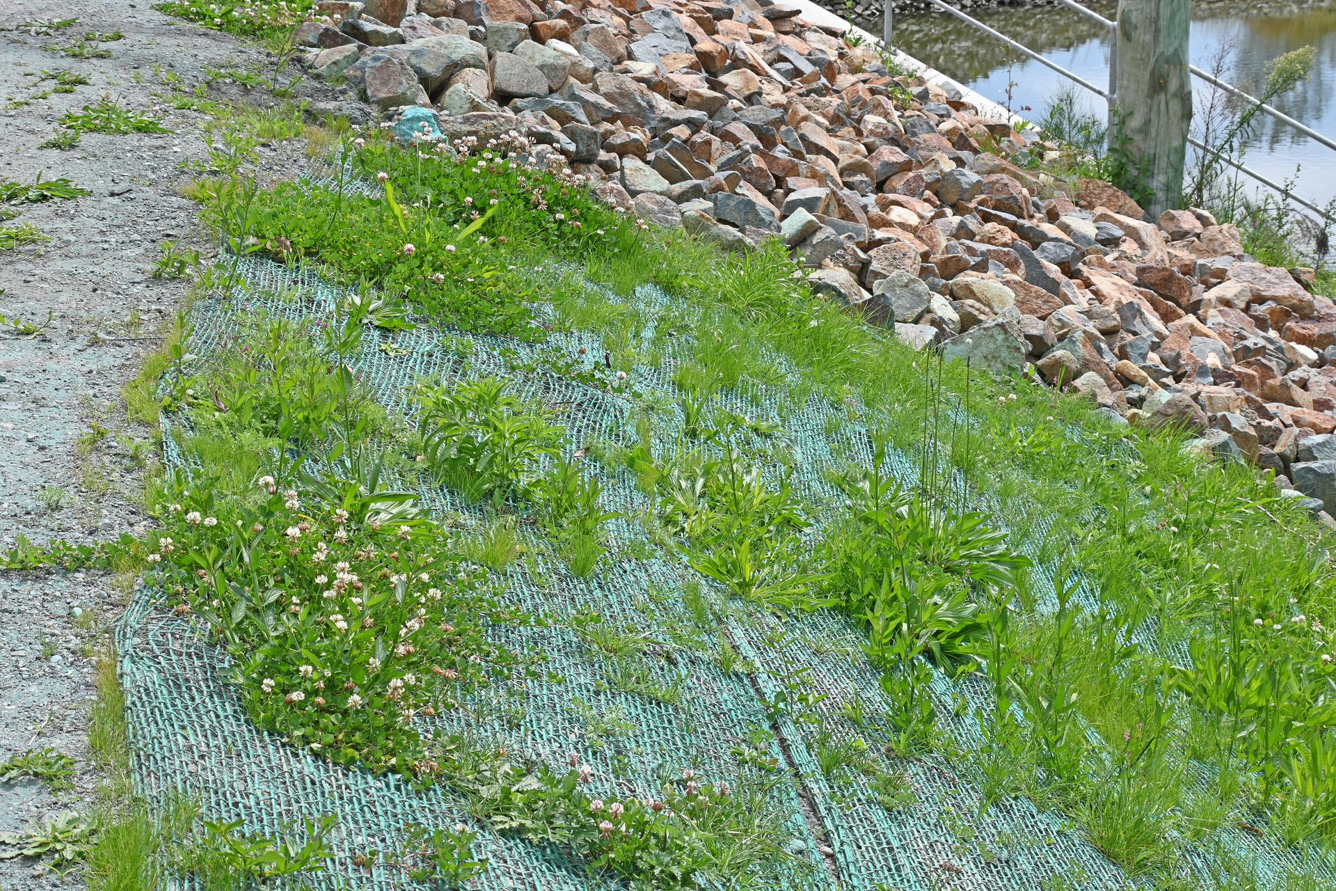 Organic biodegradable open weave erosion control mesh