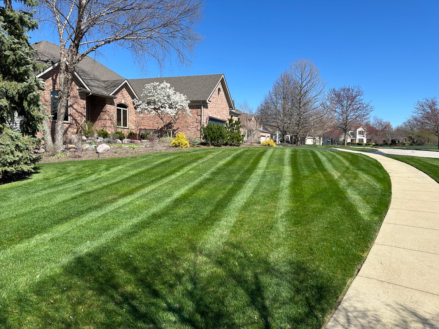 Heredia Landscaping project