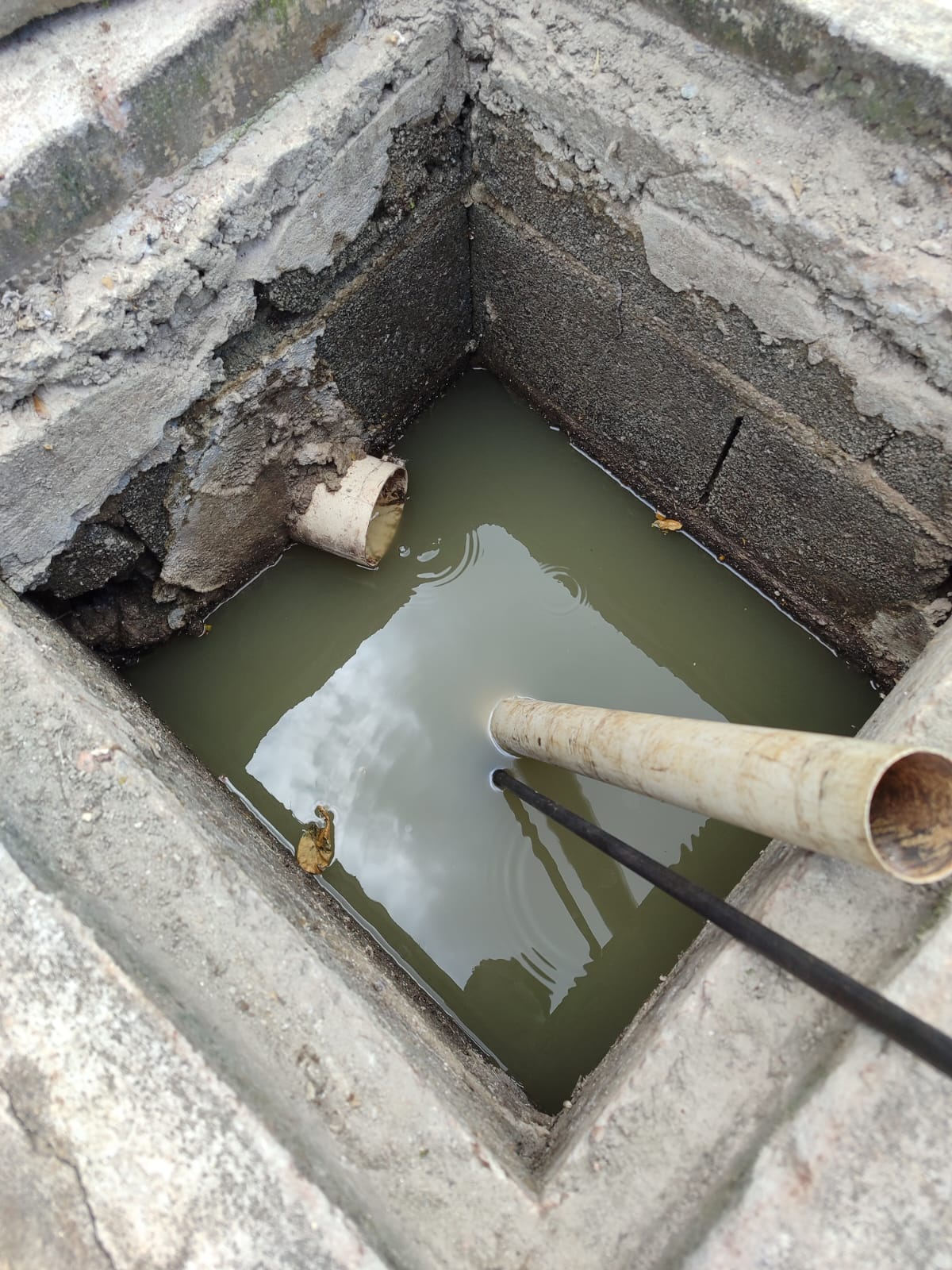 Equipe técnica Maktub