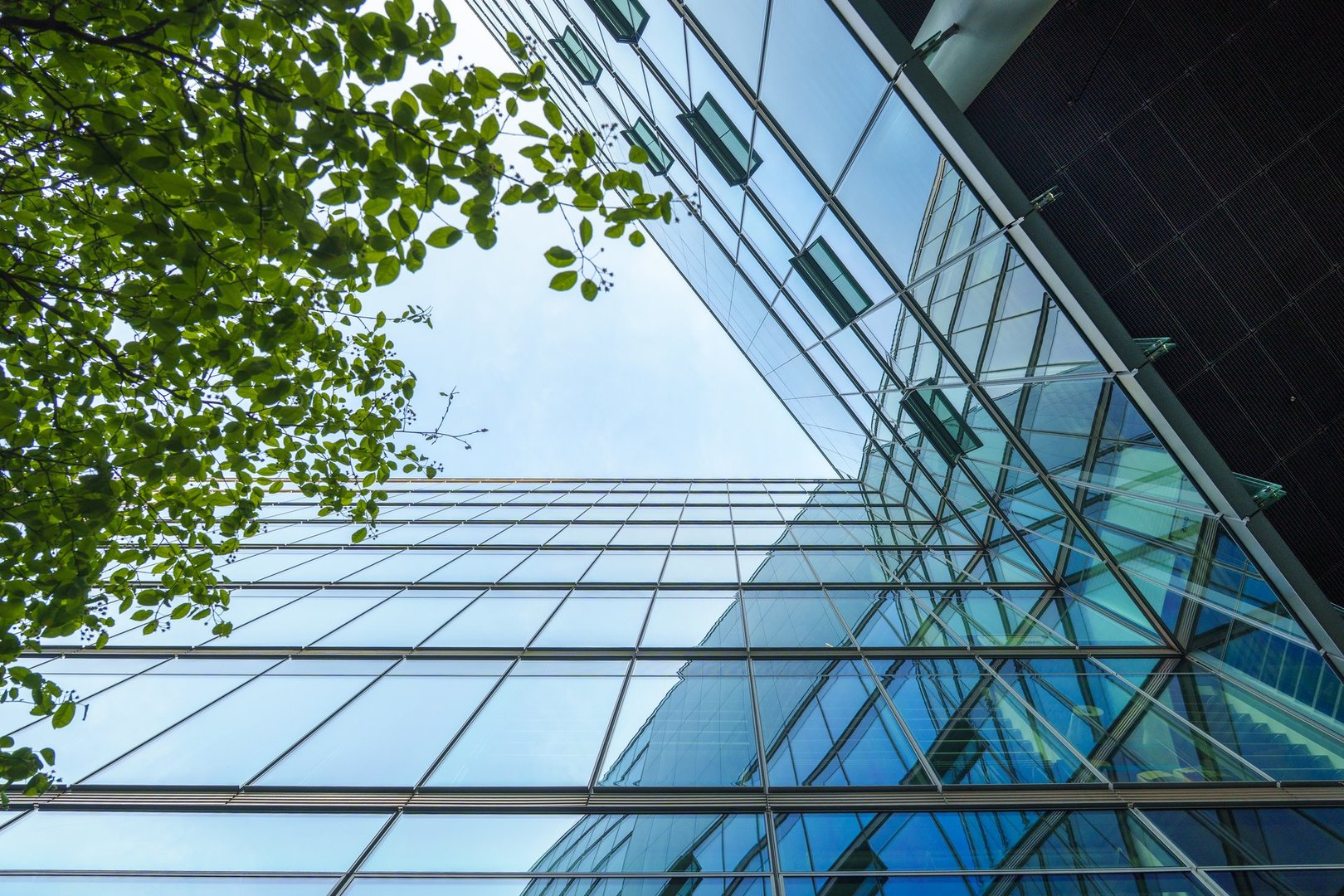 looking up at the facade of a contemporary office building in which a tree and the sky are reflected