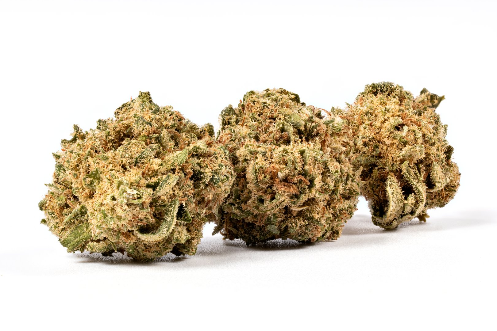 Three CBD flowers in row macro photography of from a Strawberry cannabis plant isolated on white