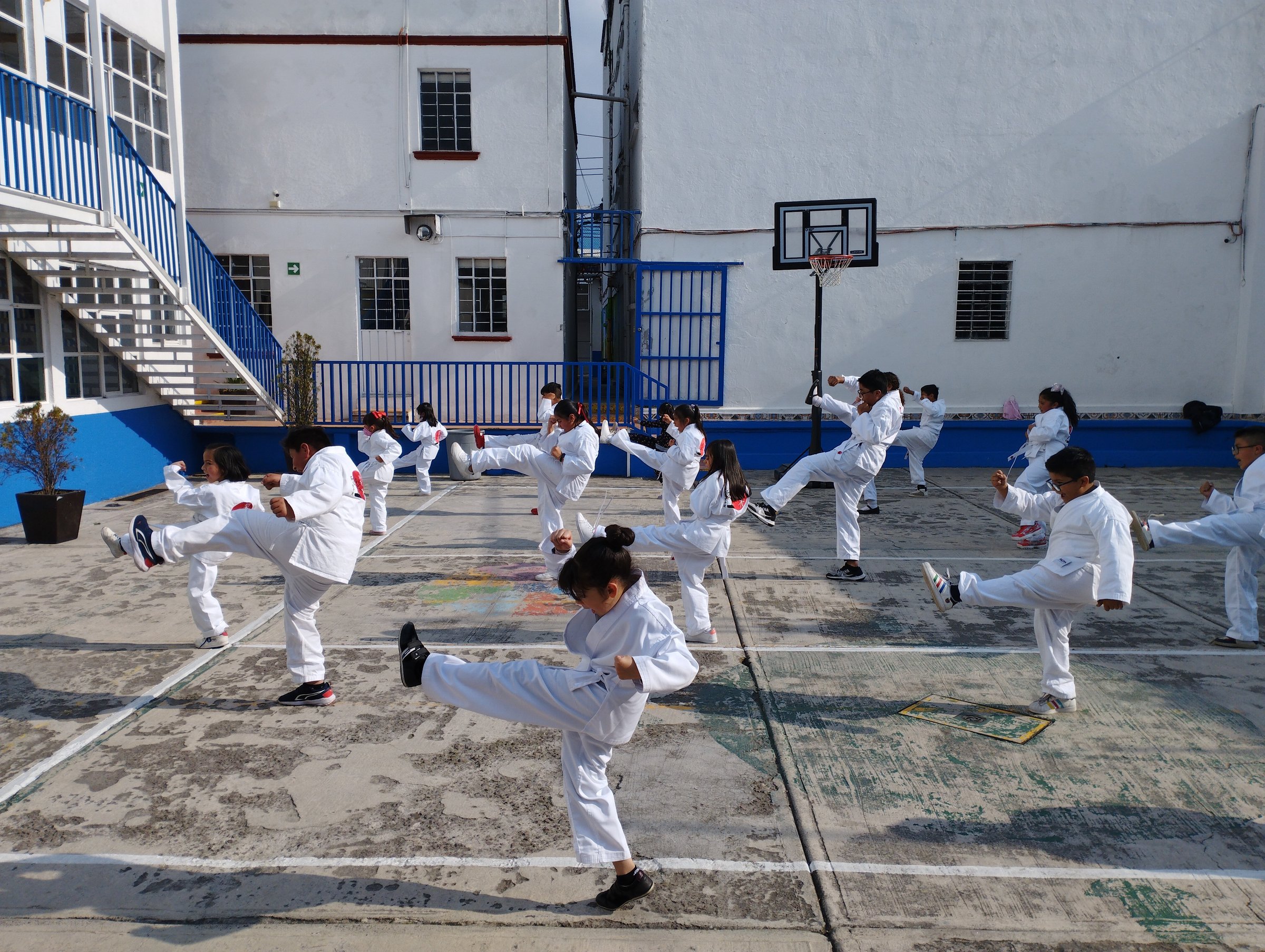 Dojo Image 14
