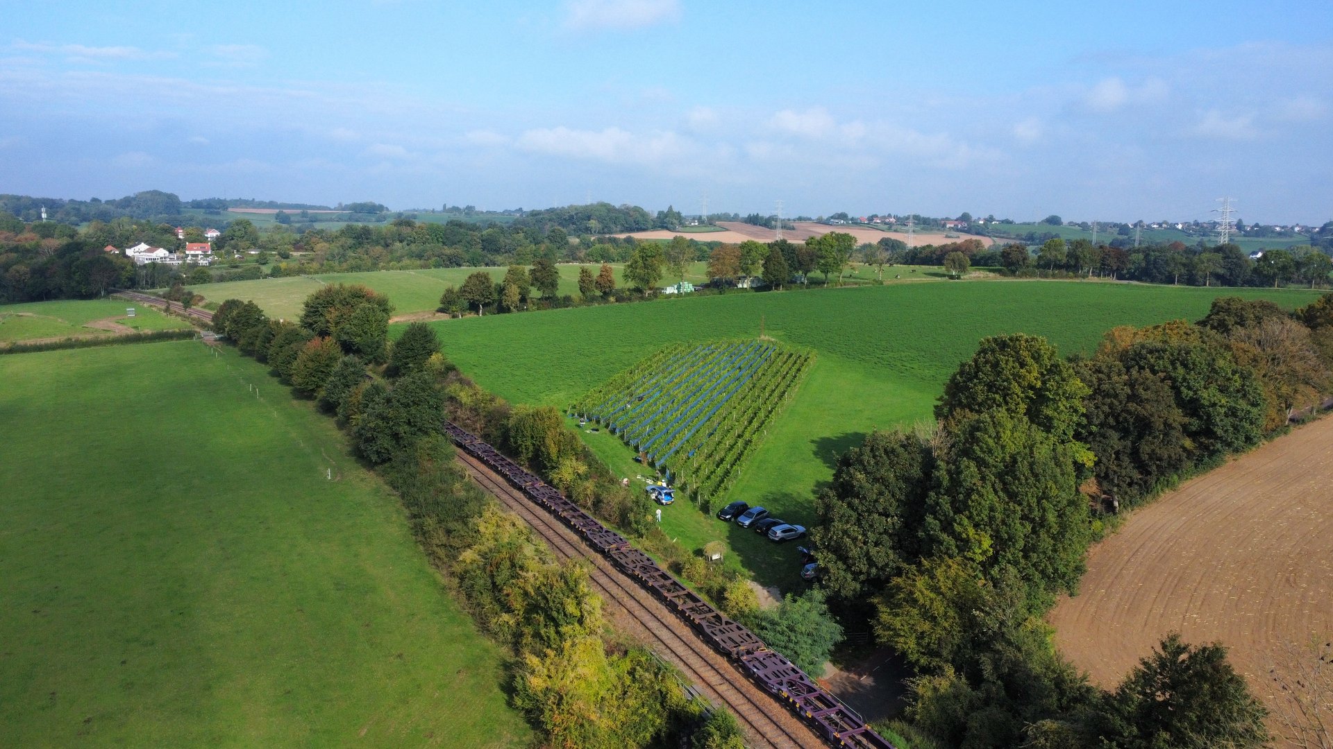 Belle Source vineyard aerial view