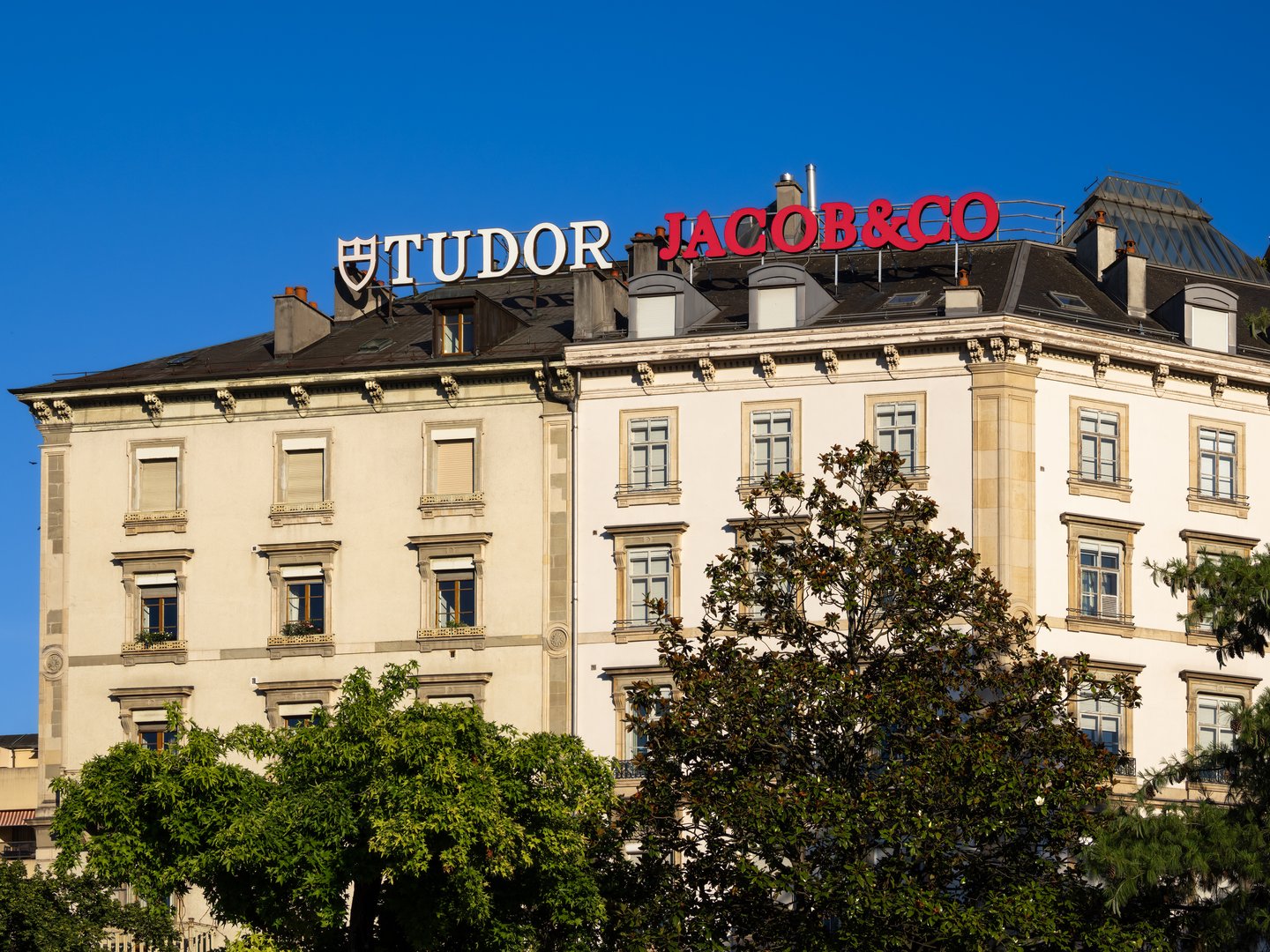 Tudor Pelagos - G&S Timepieces