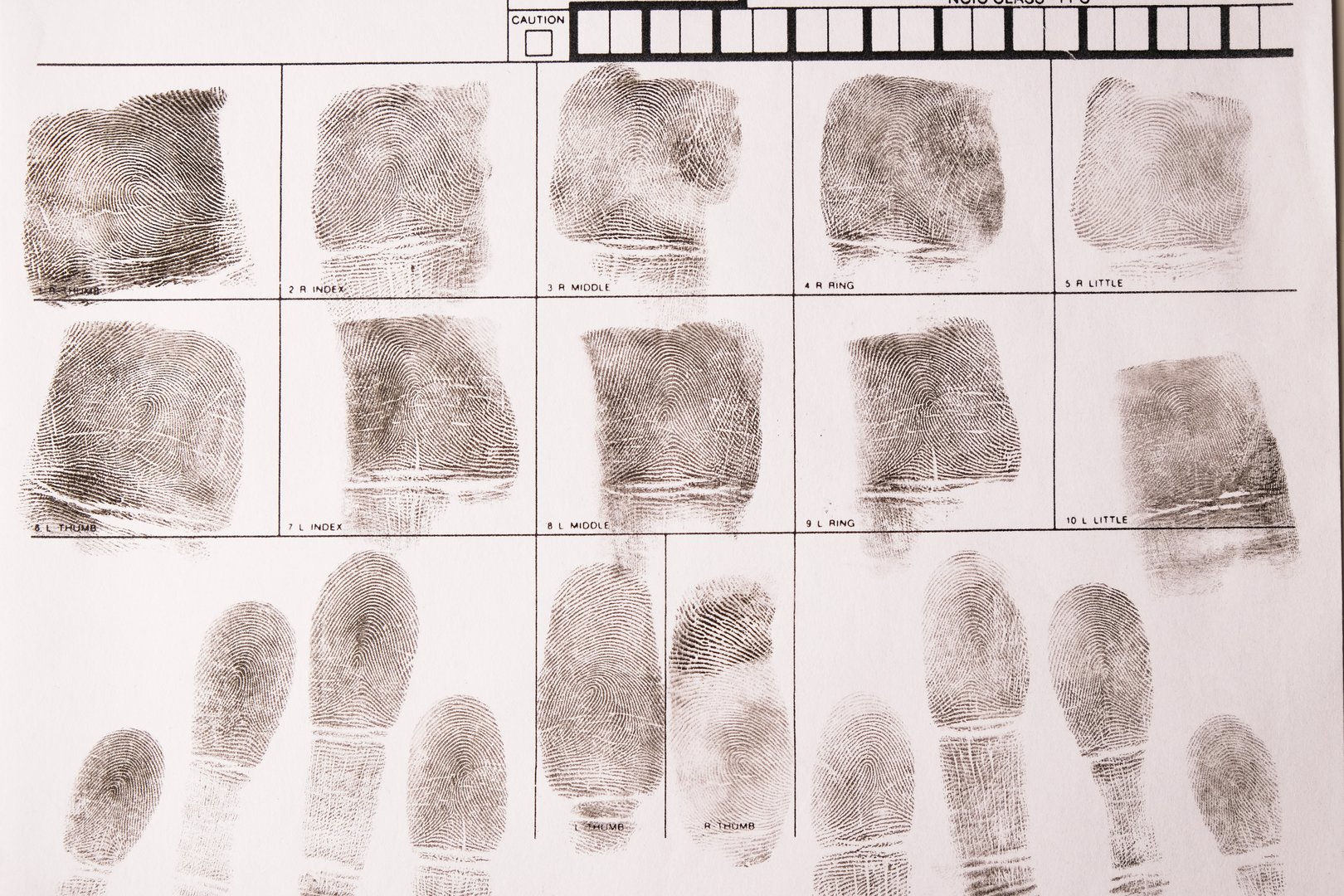 Close-up fingerprint card with fingerprints, forensic examination