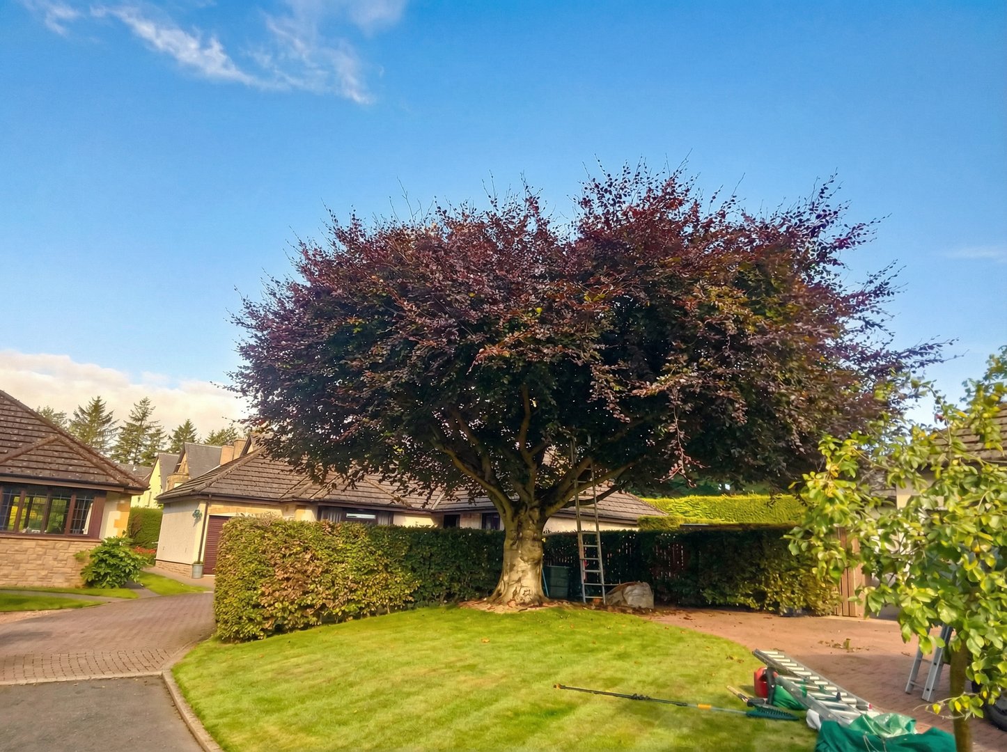 Property maintenance work